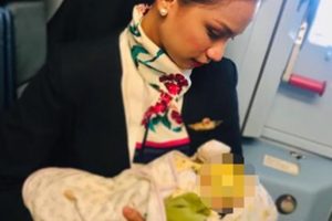 Flight Attendant Patrisha Organo Breastfeeds Stranger's Baby