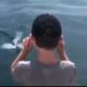 Great White Shark Nearly Bites Boy On Cape Cod Boat