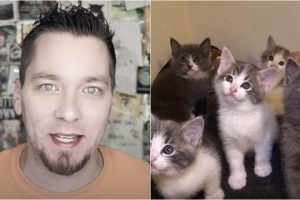 Steve Cash YouTube Cats Talking Kitty Cat