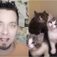 Steve Cash YouTube Cats Talking Kitty Cat