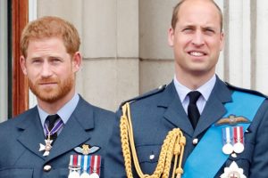 Prince Harry William Meghan Markle Marriage