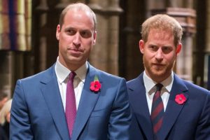 Prince William Harry Title Removed Election