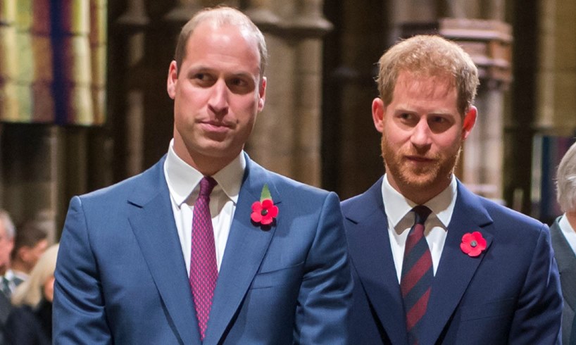Prince William Harry Title Removed Election