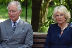 Prince Charles Camilla Parker Bowles William Harry Meeting