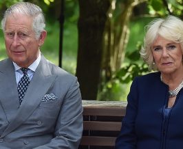 Prince Charles Camilla Parker Bowles William Harry Meeting