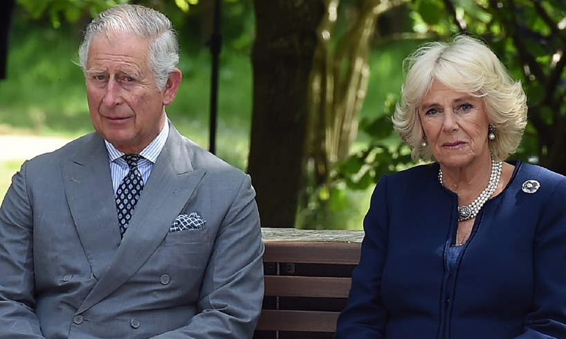 Prince Charles Camilla Parker Bowles William Harry Meeting