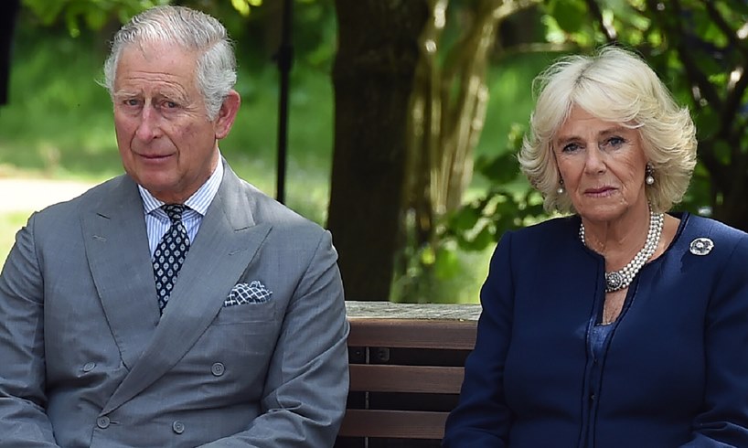 King Charles Takes A Backseat As Queen Camilla And Prince William Put Deliberate Plan In Motion