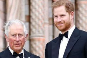 Prince Charles Harry Meghan Markle Archie Harrison Mountbatten Windsor No Royal Title