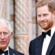 Prince Charles Harry Meghan Markle Archie Harrison Mountbatten Windsor No Royal Title