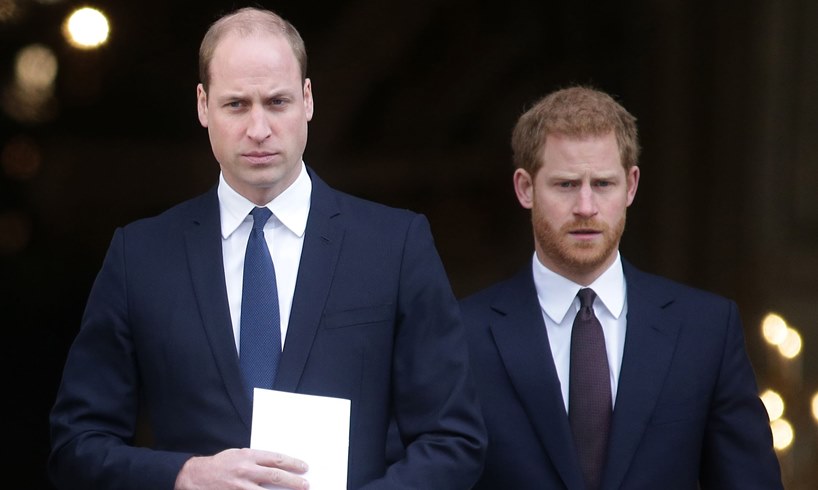 Prince William Prince Harry Mistrust Issues