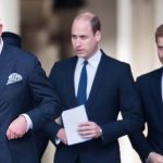 Prince Charles William Harry Parenting New Podcast Interview