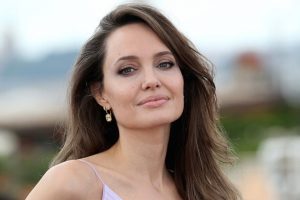 Angelina Jolie Brad Pitt Messy Joint Custody Jonny Lee Miller
