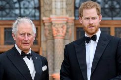 Prince Charles Harry Meghan Markle Archie Harrison Mountbatten Windsor Title