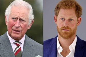 Prince Charles Harry Meghan Markle Meeting Skipped