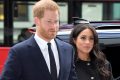 Prince Harry Meghan Markle Leilani Dowding Decision