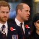 Prince Harry William Meghan Markle Fame Obsession