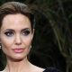 Angelina Jolie Brad Pitt Domestic Abuse
