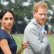 Meghan Markle Prince Harry Charles Issues