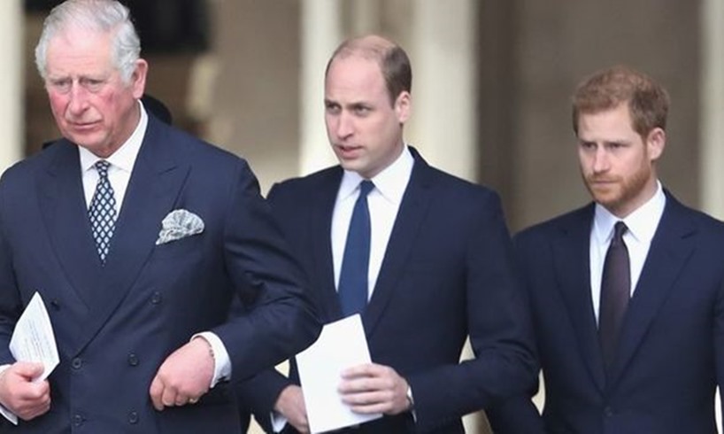 Prince Charles William Harry Dream Meghan Markle