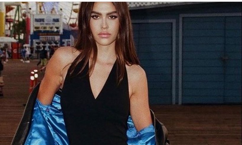 Amelia Gray Hamlin Party Scott Disick