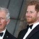 Prince Charles Harry Attack Feud