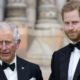 Prince Charles Harry New Book Worries