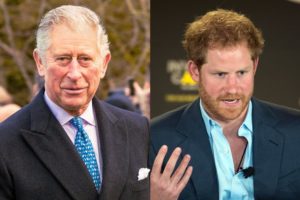 Prince Charles Harry Relationship New Book