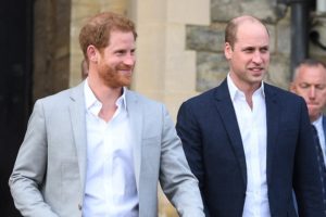 Prince Harry William Charles New Book