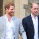 Prince Harry William Charles New Book