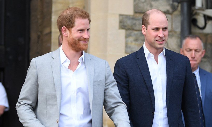 Prince Harry William Charles New Book