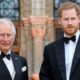 Prince Charles Harry Meghan Markle Security