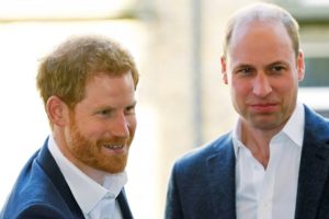 Prince Harry William Meghan Markle Blame Security