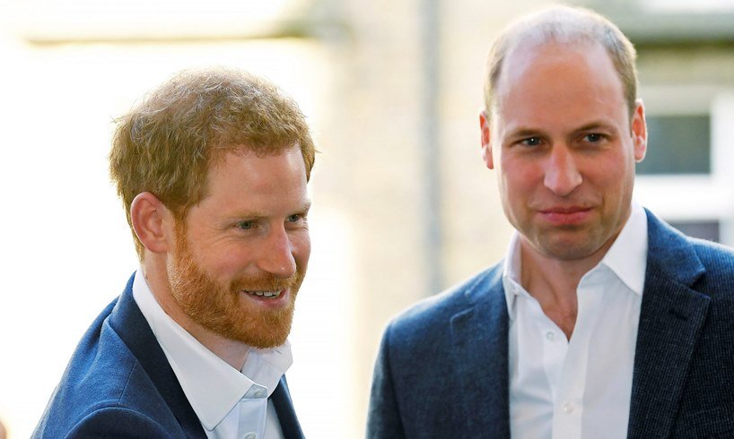 Prince Harry William Meghan Markle Blame Security