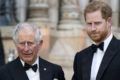 Prince Charles Harry Fathers Day Message