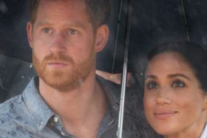 Prince Harry Meghan Markle William Cold Shoulder