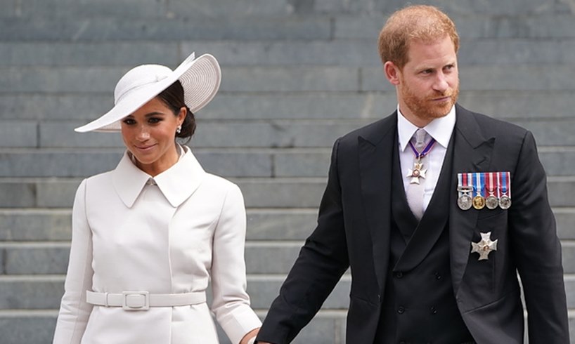 Meghan Markle Prince Harry Democratic Party