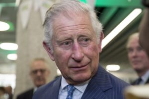 Prince Charles Harry Meghan Markle Monarchy Plans