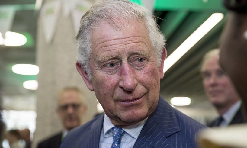 Prince Charles Harry Meghan Markle Monarchy Plans