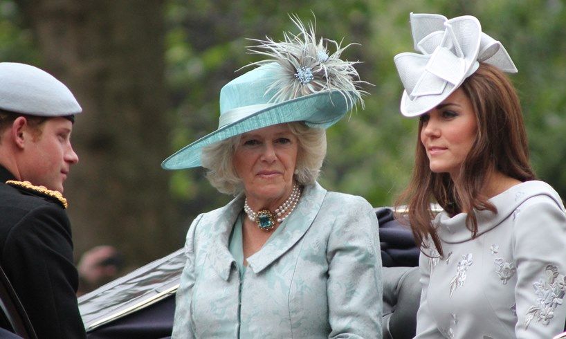 Prince Harry Camilla Parker Bowles Kate Middleton New Book