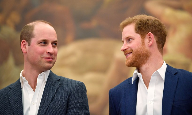 Prince William Harry Queen Elizabeth Protection
