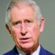 King Charles Prince Harry Meghan Markle Children Titles