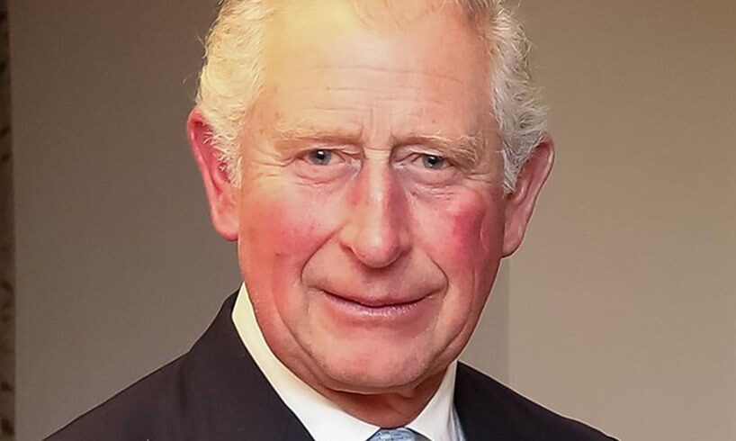 King Charles Prince Harry Meghan Markle Position