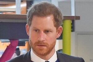 Prince Harry William Meghan Markle Chat