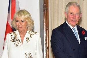 Queen Consort Camilla King Charles Prince Harry Peace