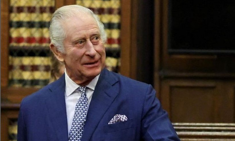King Charles Prince Harry Meghan Markle Part-Time Royals Plan