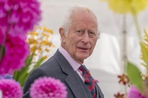 King Charles Prince Harry Meghan Markle William Royal Chaos