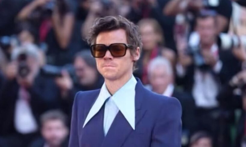 Harry Styles Zoë Kravitz Niall Horan Wedding Snub