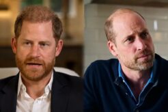Prince Harry William New Princess Diana Book