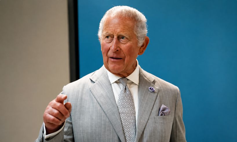 King Charles Prince Harry Slap-Down