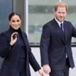 Meghan Markle Prince Harry Dogs